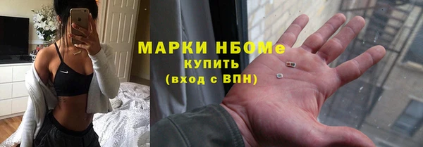 хмурый Алзамай