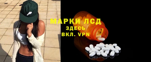 хмурый Алзамай