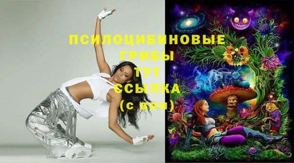 мдпв Няндома