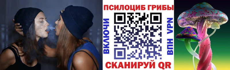 Галлюциногенные грибы GOLDEN TEACHER  даркнет официальный сайт  Полярные Зори  ссылка на мегу рабочий сайт 